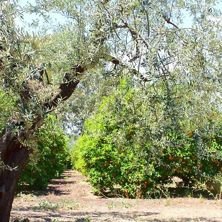 Masseria Delle Arance Holiday home Misterbianco