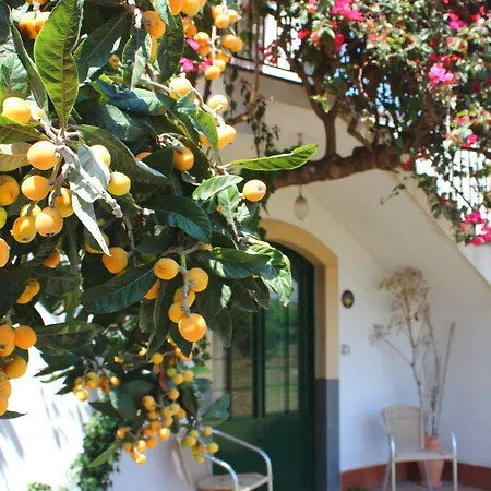 Masseria Delle Arance * Misterbianco
